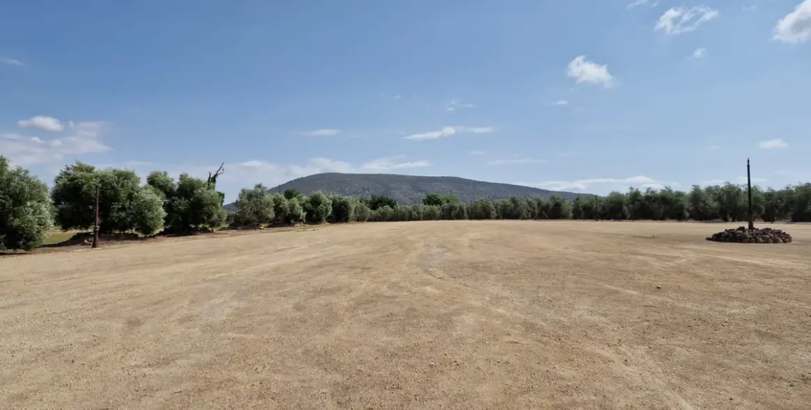 Sale of detached villa in Antequera 13