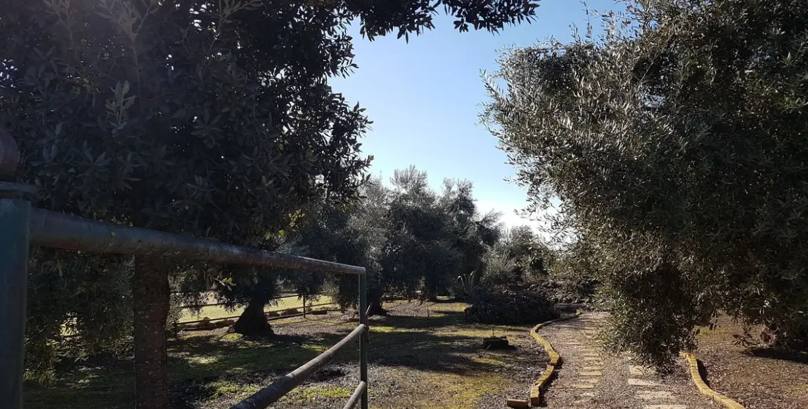 Sale of detached villa in Antequera 17