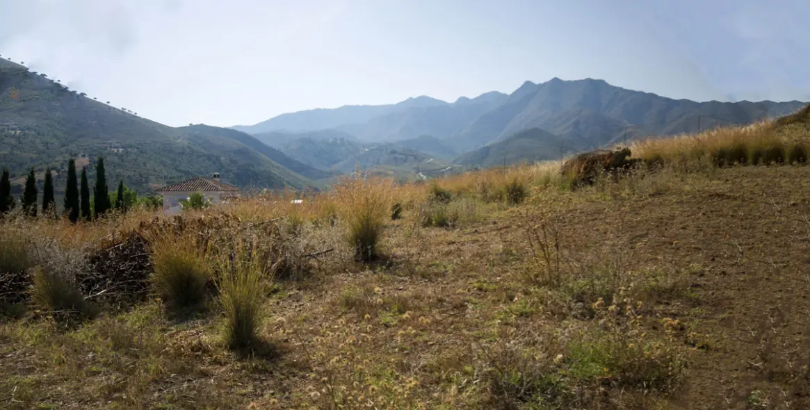 Продажа финки в Campo Mijas 5
