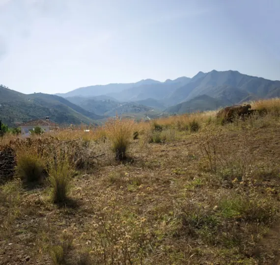 Sale of finca - cortijo in Campo Mijas