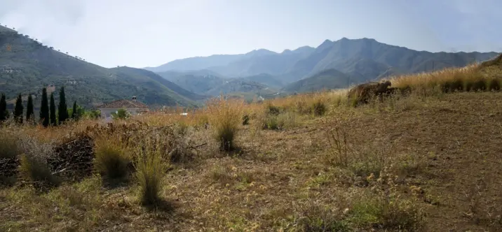 Sale of finca - cortijo in Campo Mijas 4