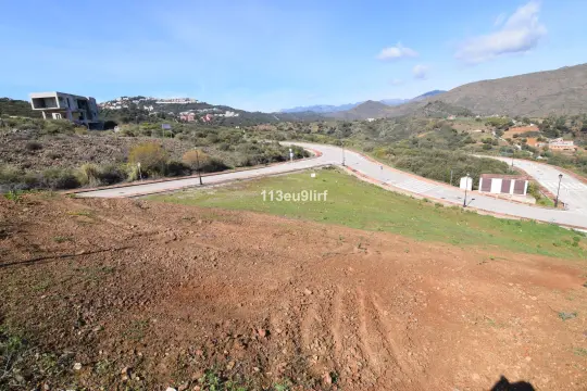 Image 6 thumb