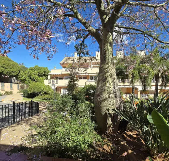 Sale of penthouse in Elviria