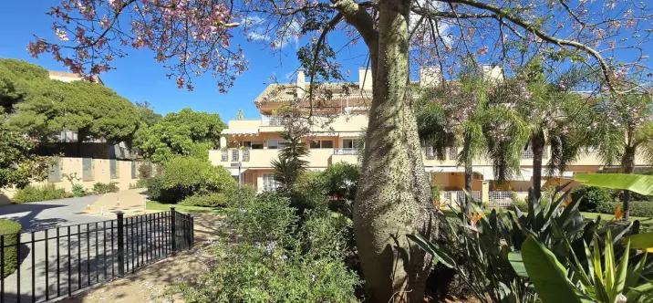 Sale of penthouse in Elviria 4