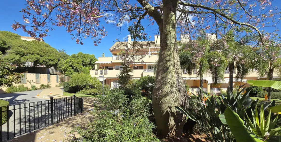 Sale of penthouse in Elviria 8