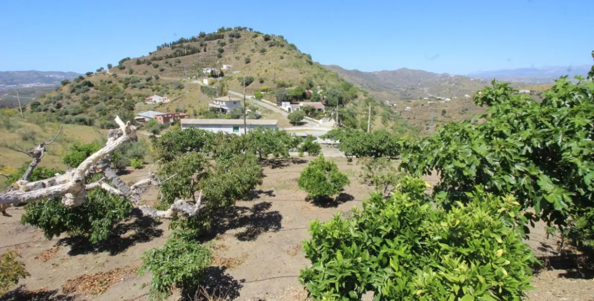 Sale of finca - cortijo in Canillas de Aceituno 22