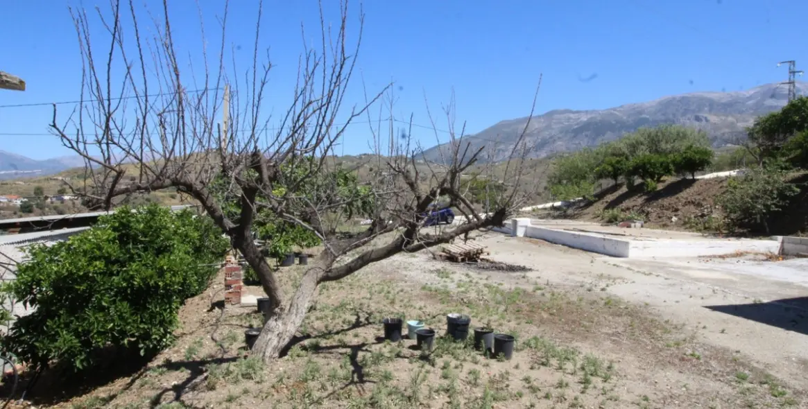 Sale of finca - cortijo in Canillas de Aceituno 23