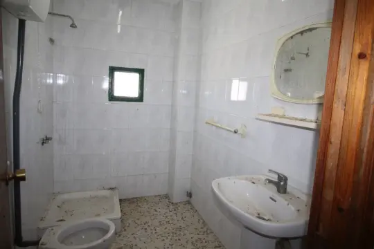 Image 12 thumb