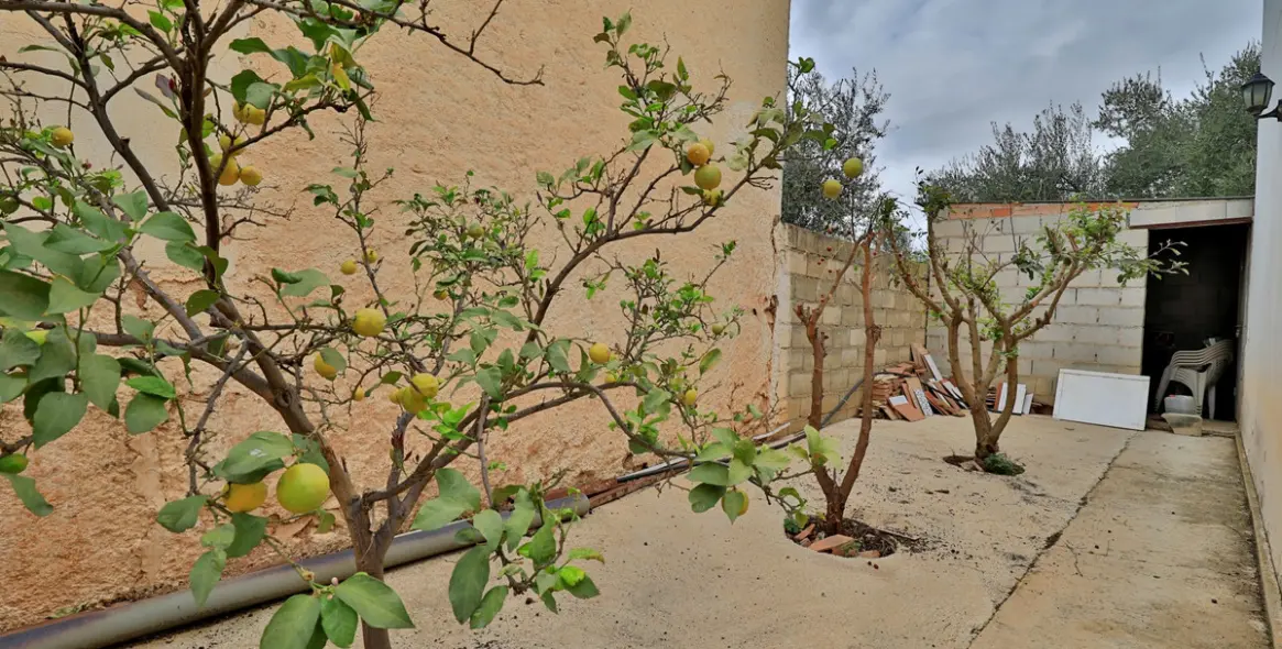 Sale of finca - cortijo in Alfarnatejo 4