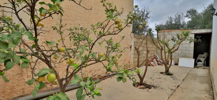 Sale of finca - cortijo in Alfarnatejo 3