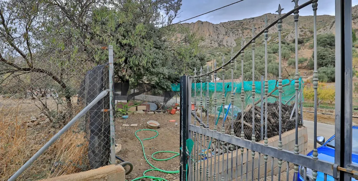 Sale of finca - cortijo in Alfarnatejo 5