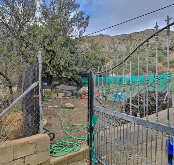 Sale of finca - cortijo in Alfarnatejo