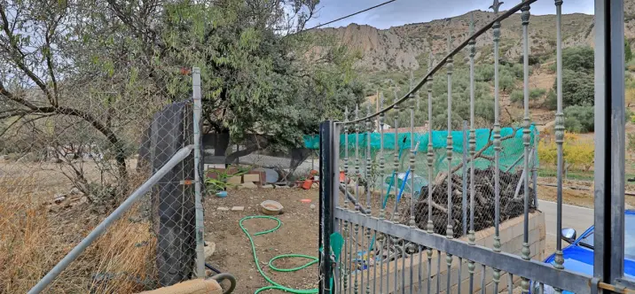 Sale of finca - cortijo in Alfarnatejo 4