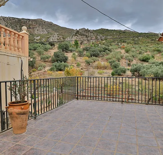 Sale of finca - cortijo in Alfarnatejo