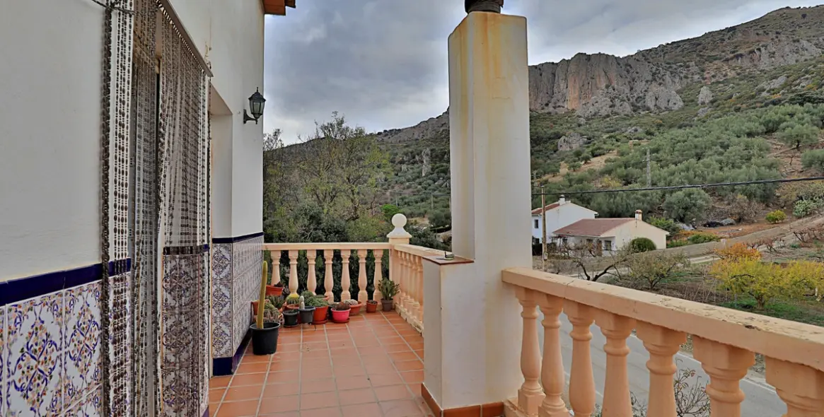 Sale of finca - cortijo in Alfarnatejo 15