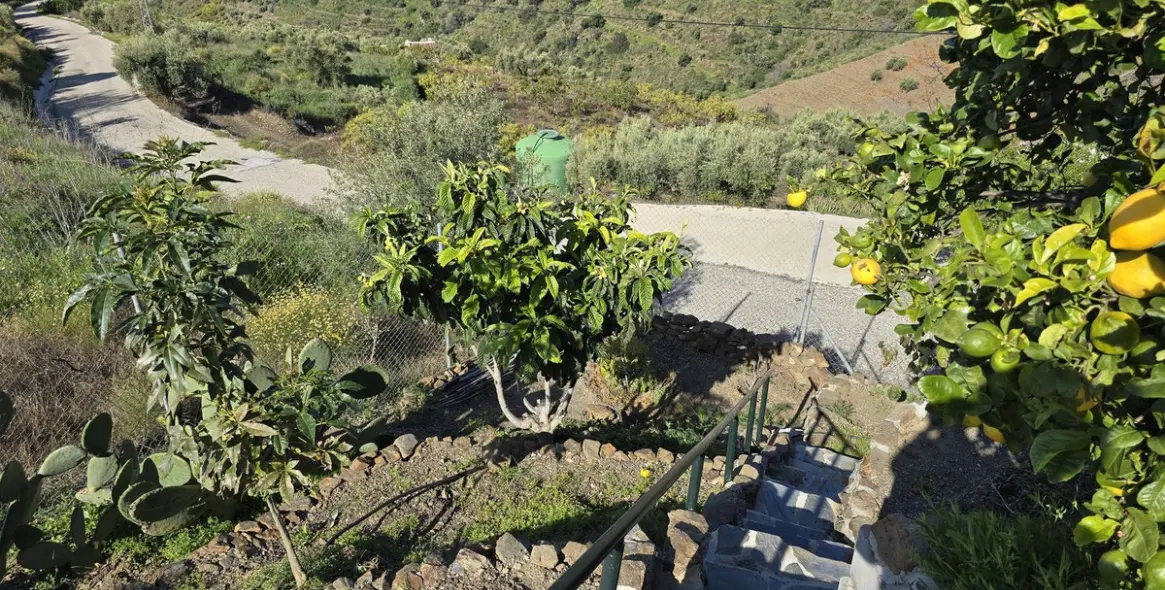 Sale of detached villa in Cómpeta 34