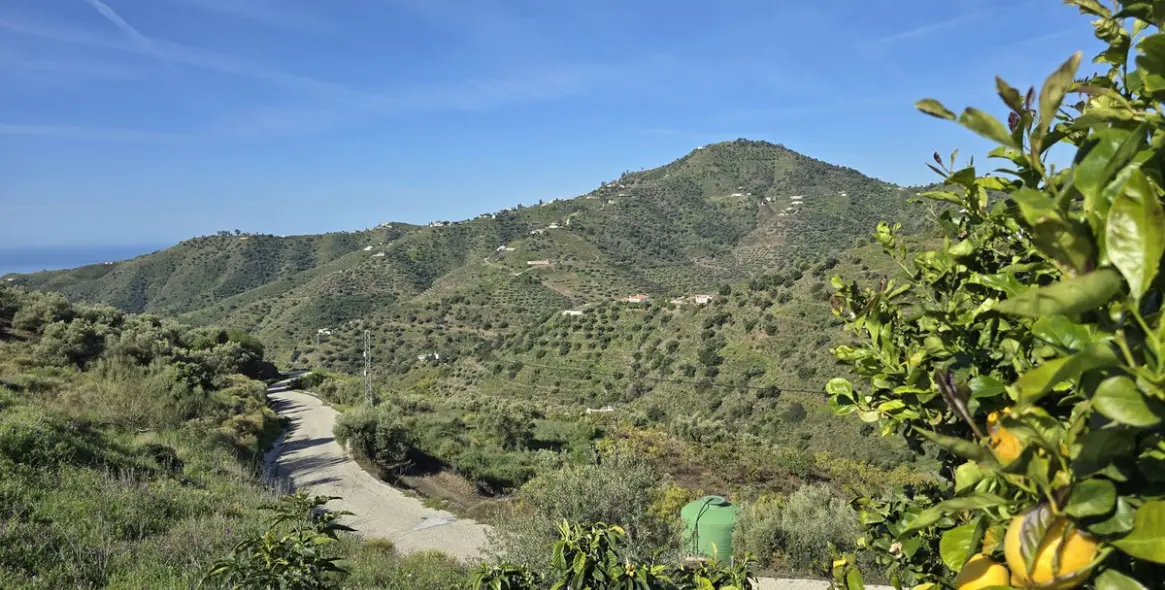 Sale of detached villa in Cómpeta 35