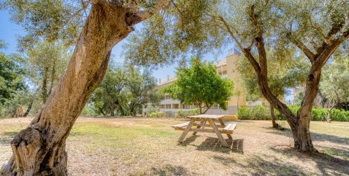 Sale of ground floor apartment in Marbella 19