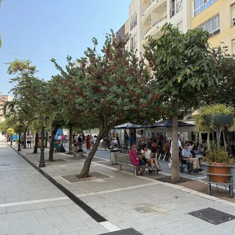 Продажа пентхауса в Estepona