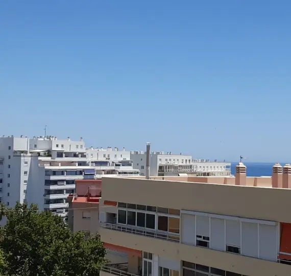 Sale of penthouse in Marbella