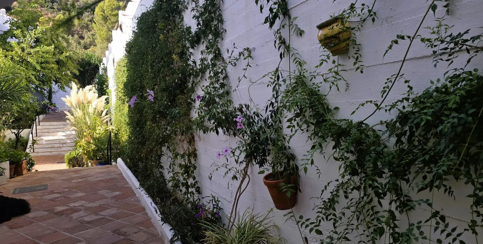 Venta de adosado en Marbella 33