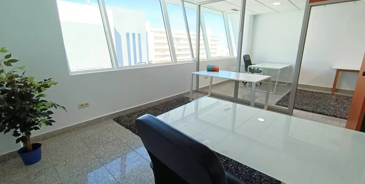 Long-term rent of office in Puerto Banús 4