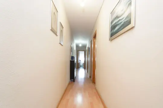 Image 8 thumb