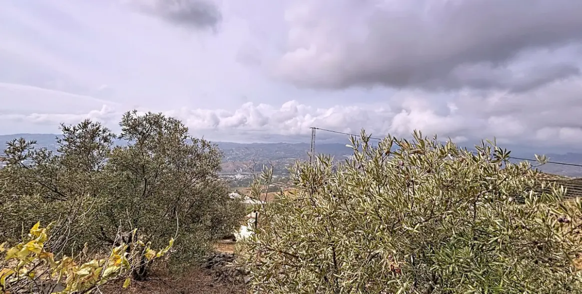 Venta de finca - cortijo en Vélez-Málaga 35