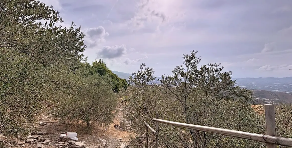 Venta de finca - cortijo en Vélez-Málaga 39