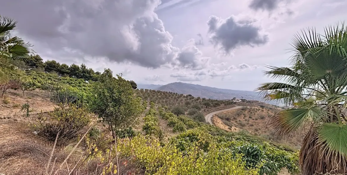 Venta de finca - cortijo en Vélez-Málaga 40