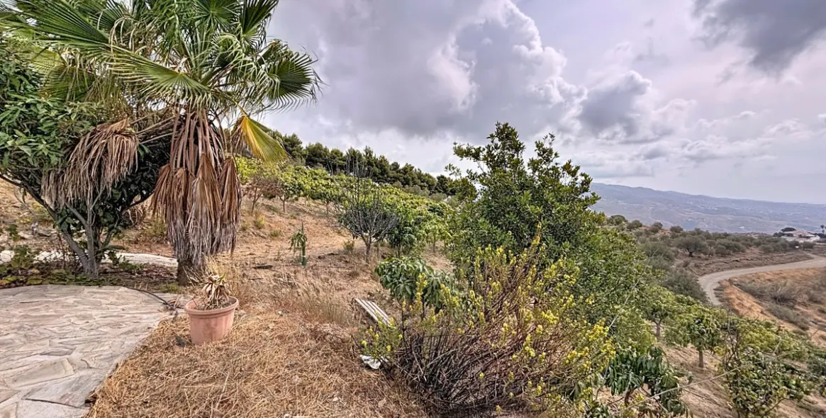 Venta de finca - cortijo en Vélez-Málaga 41