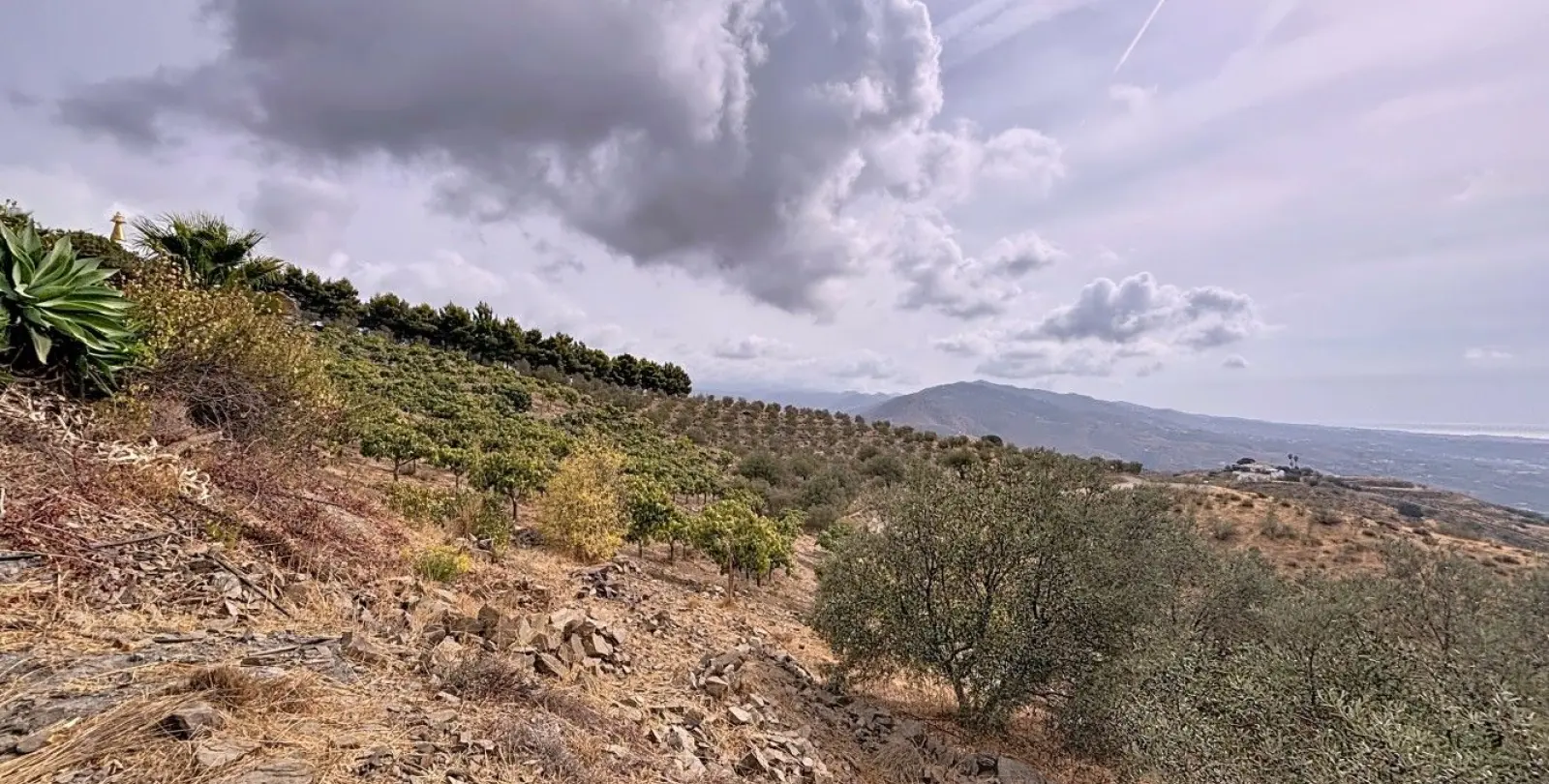 Продажа финки в Vélez-Málaga 37