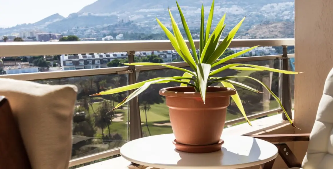 Sale of penthouse in Torrequebrada 15