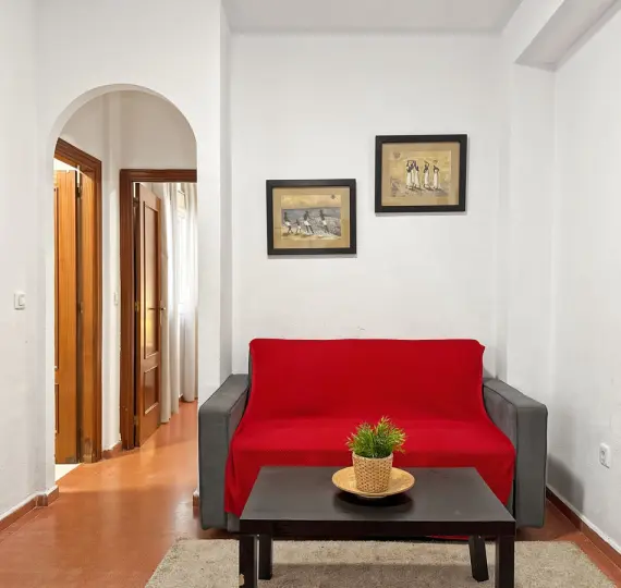 Sale of middle floor apartment in Centro Histórico