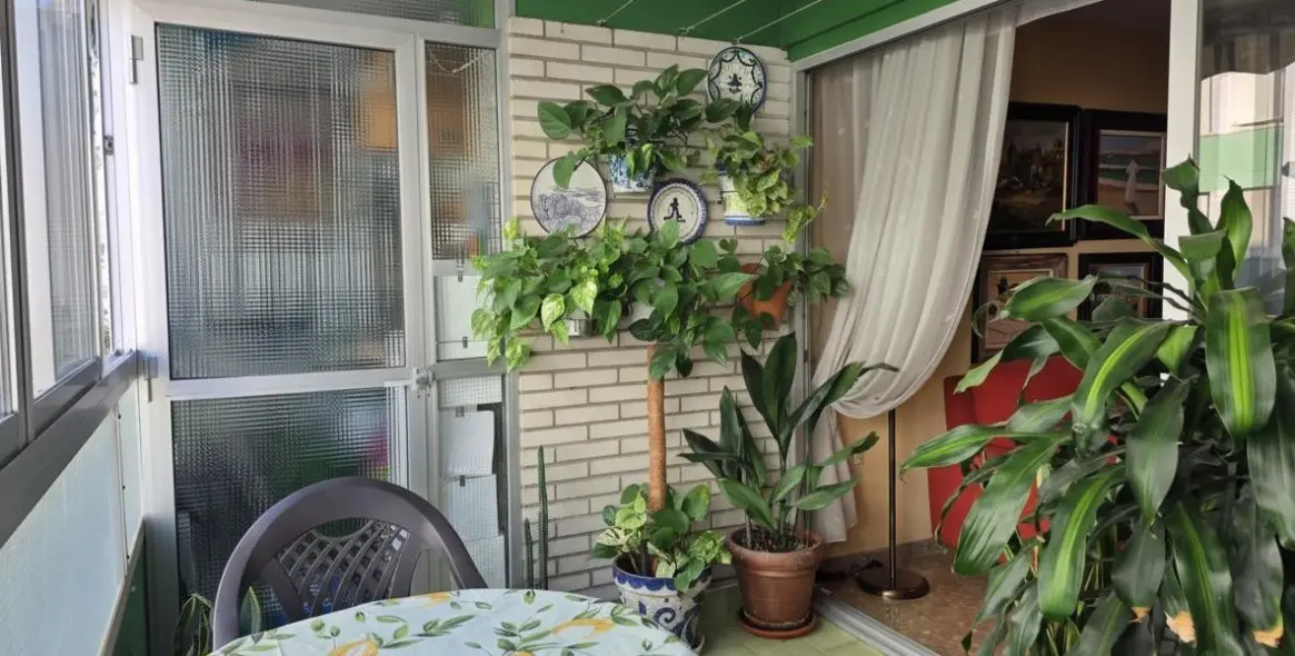 Sale of middle floor apartment in Málaga 1