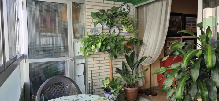 Sale of middle floor apartment in Málaga 0