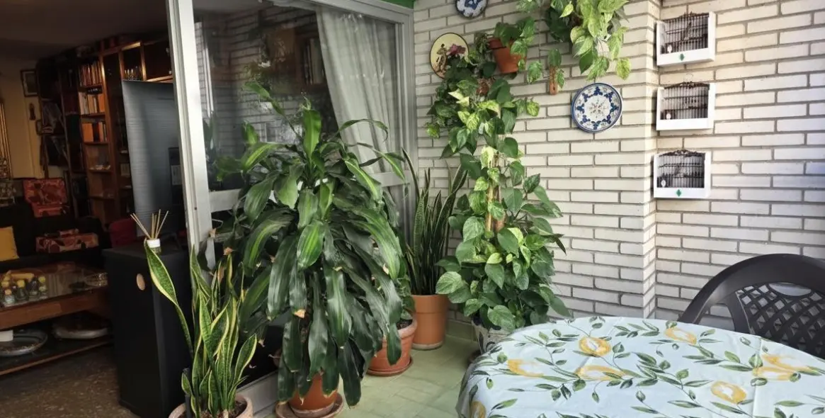 Sale of middle floor apartment in Málaga 13