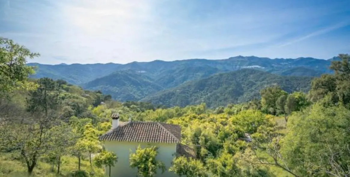 Sale of residential plot in Genalguacil 1