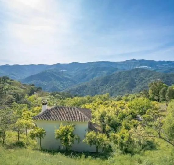 Venta de parcela residencial en Genalguacil