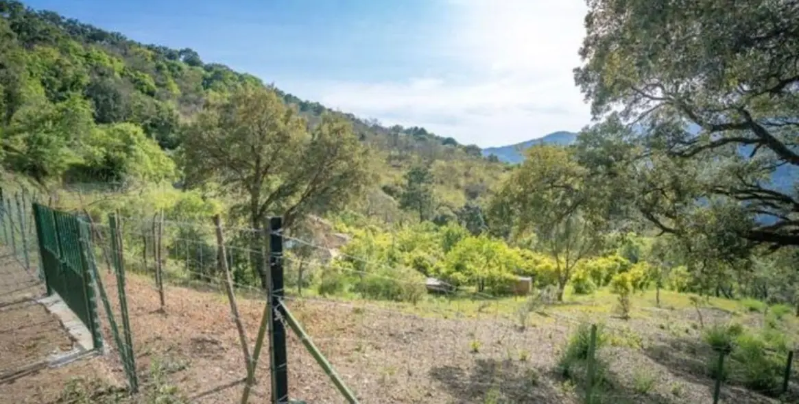 Sale of residential plot in Genalguacil 8