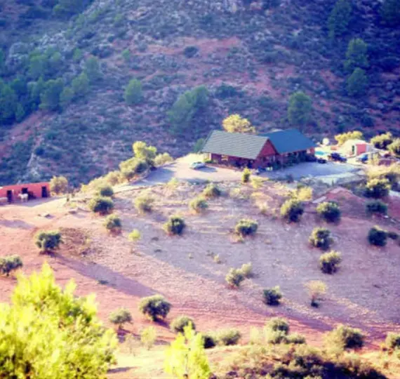 Sale of detached villa in Ardales