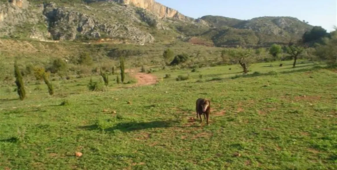 Sale of detached villa in Ardales 20