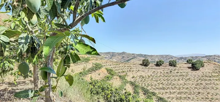 Venta de parcela residencial en Cajíz 2