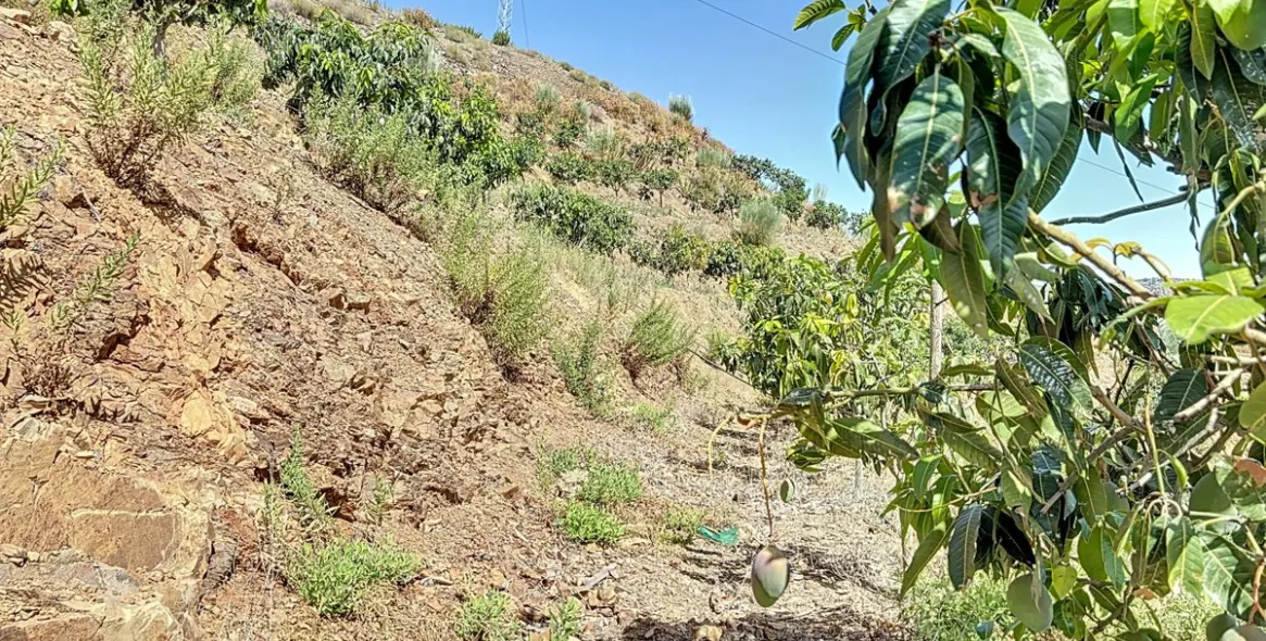 Продажа  жилого участка в Cajíz 12