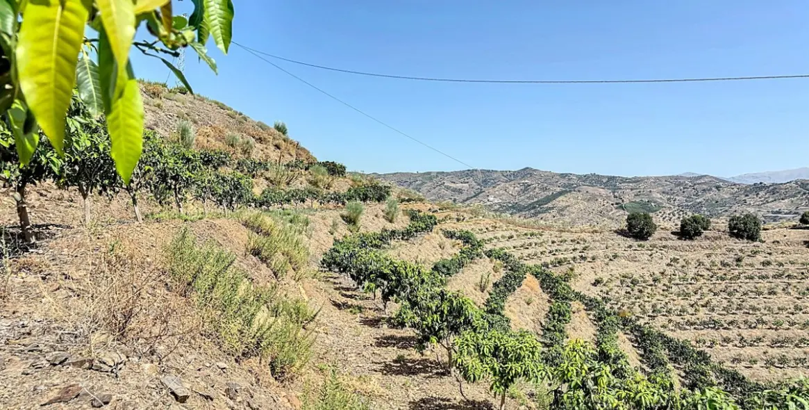 Продажа  жилого участка в Cajíz 13