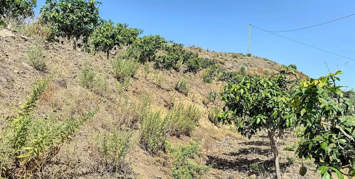 Продажа  жилого участка в Cajíz 14