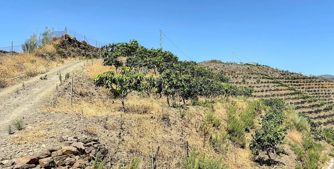 Продажа  жилого участка в Cajíz 18