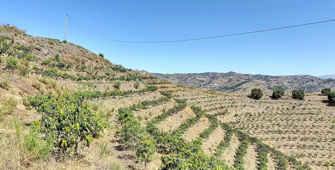 Продажа  жилого участка в Cajíz 23