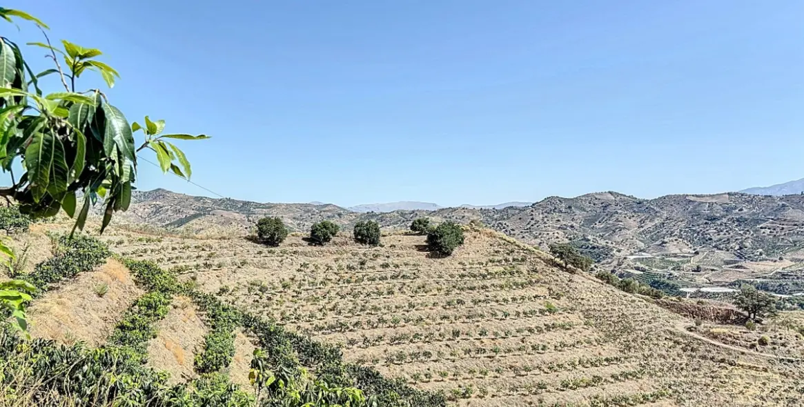 Продажа  жилого участка в Cajíz 24