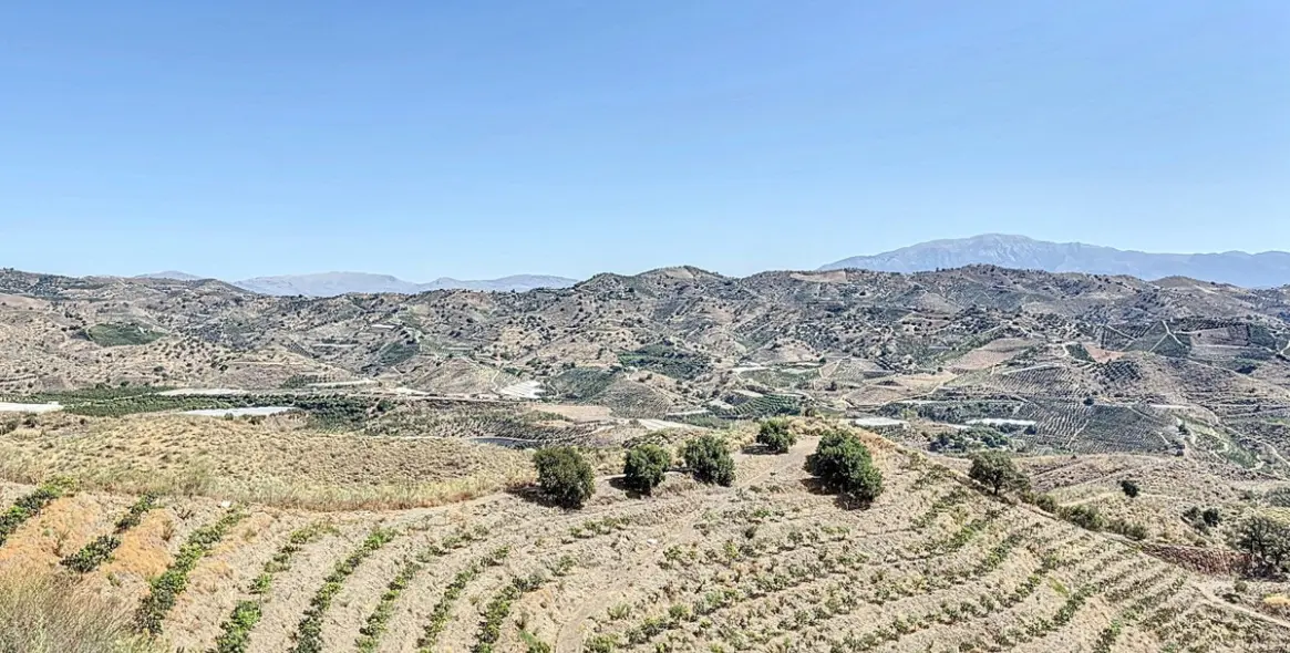 Продажа  жилого участка в Cajíz 25